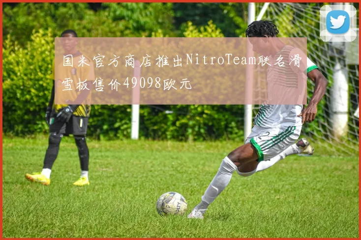 国米官方商店推出NitroTeam联名滑雪板售价49098欧元
