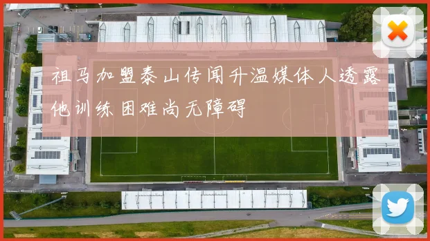 祖马加盟泰山传闻升温媒体人透露他训练困难尚无障碍