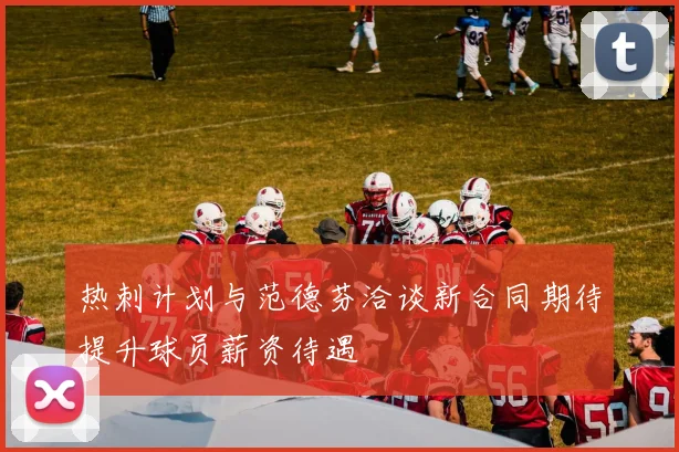 热刺计划与范德芬洽谈新合同期待提升球员薪资待遇